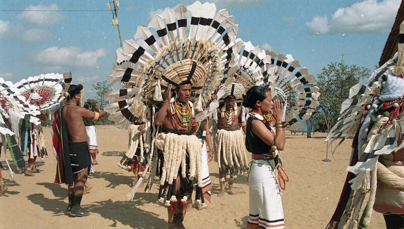 Hornbill festival, 2003