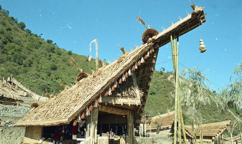 Hornbill festival, 2003