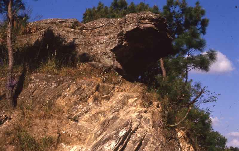 Stone like toad formation