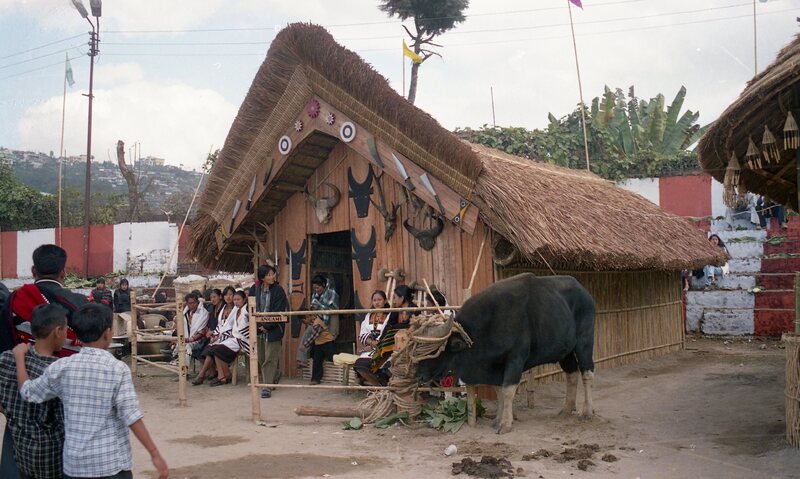 Hornbill festival, Nagaland