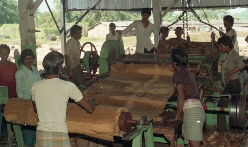 Plywood industry