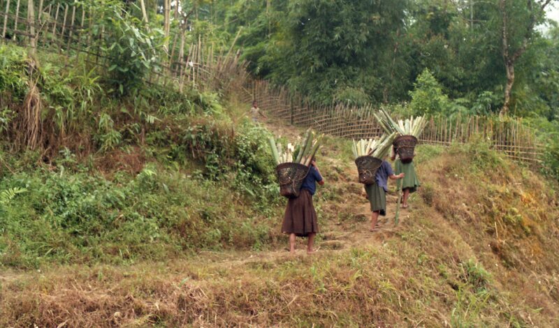 Konyak Village, Nagaland