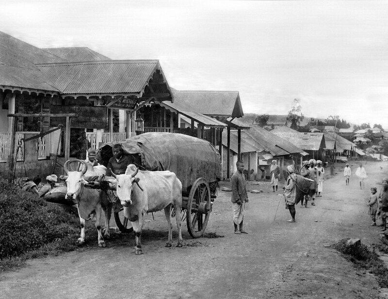 Rural life