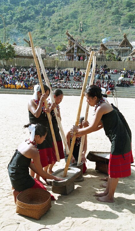 Hornbill festival, 2003