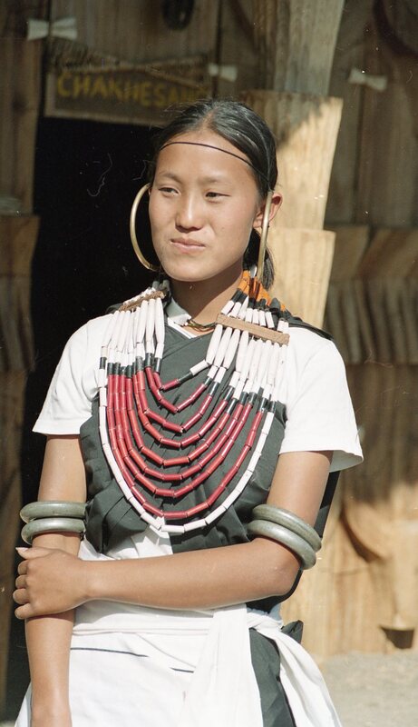 Hornbill festival, 2003