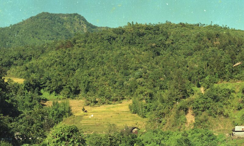 Nagaland