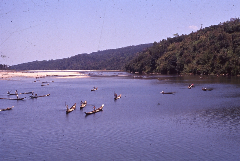 Dawki river