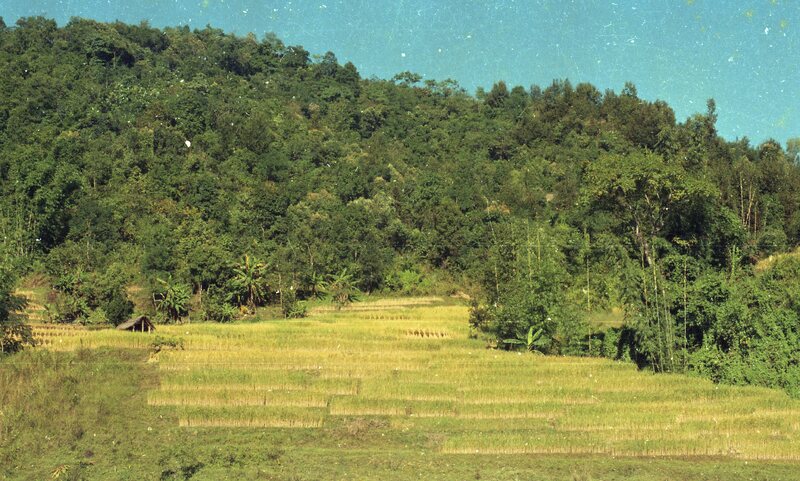Nagaland