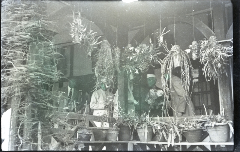 Prime Minister Jawaharlal Nehru and Mrs Indira Gandhi visit to Shillong