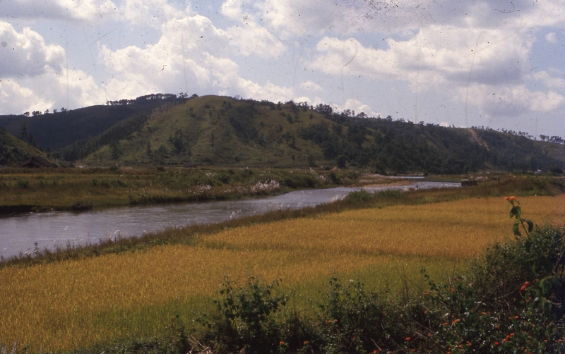 Myndu River