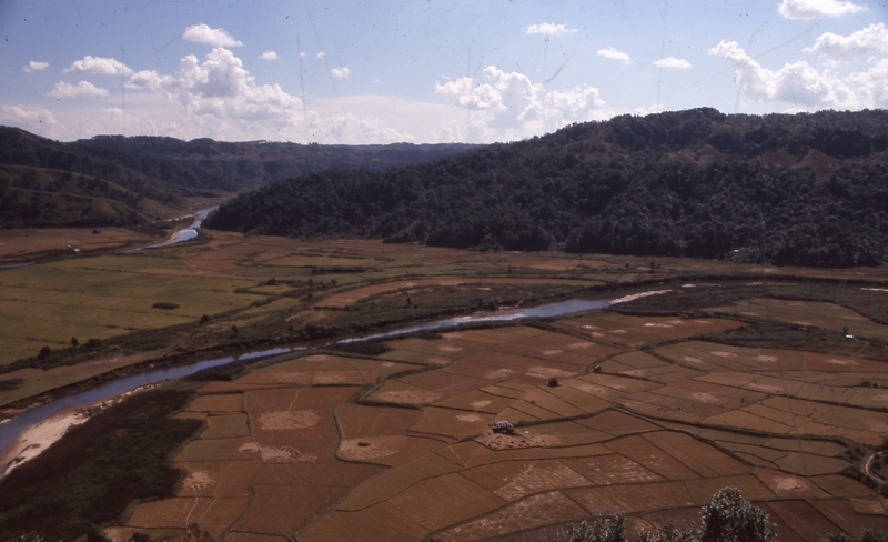 View from Ialong park
