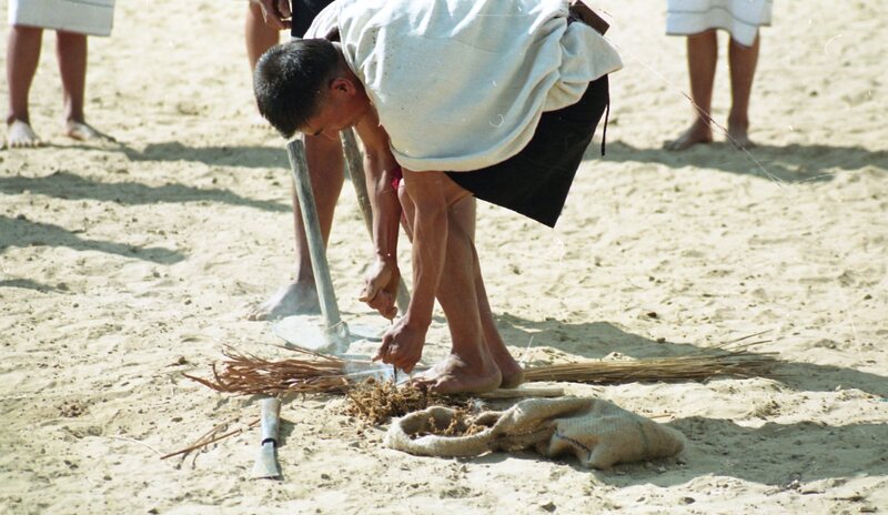 Hornbill festival, 2003