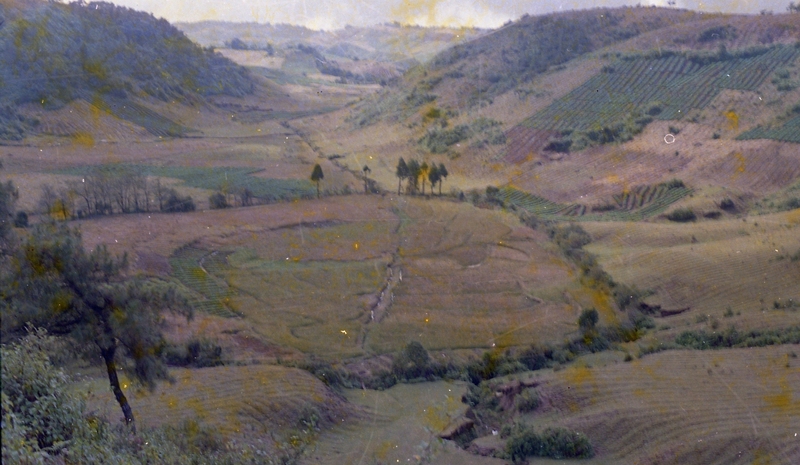 Terrace Farming