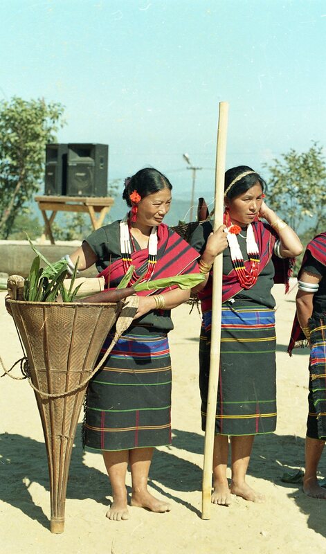 Hornbill festival, 2003