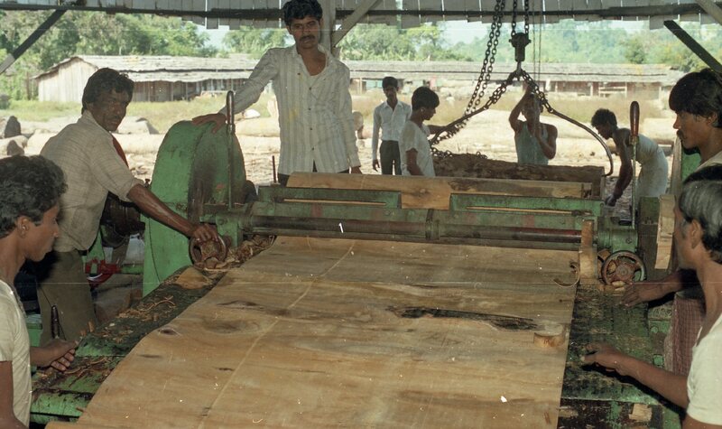 Plywood industry