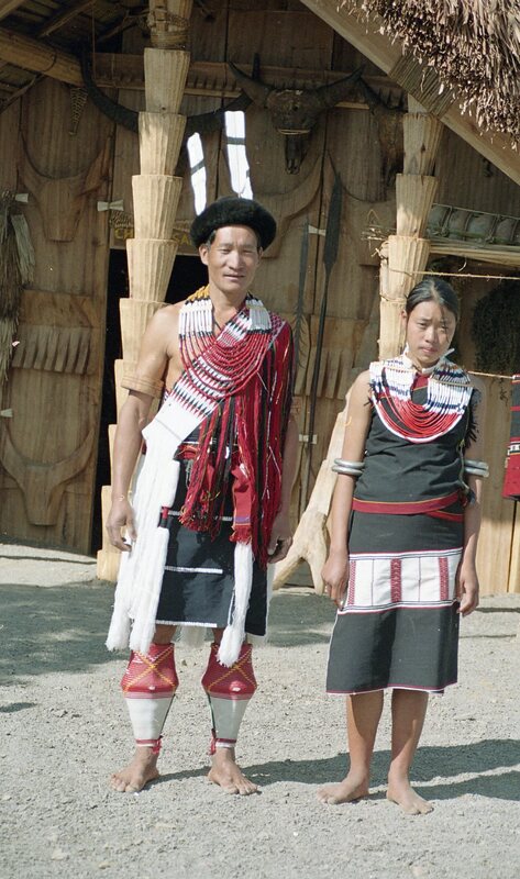 Hornbill festival, 2003