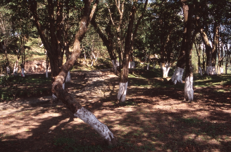 Ialong Park