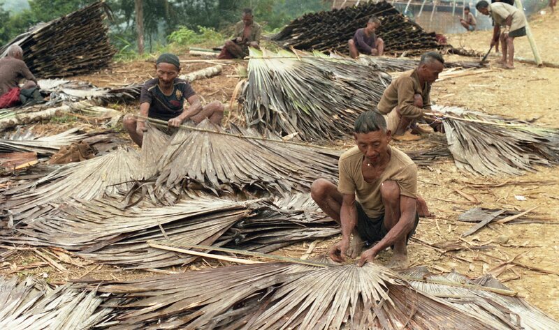Konyak Village, Nagaland