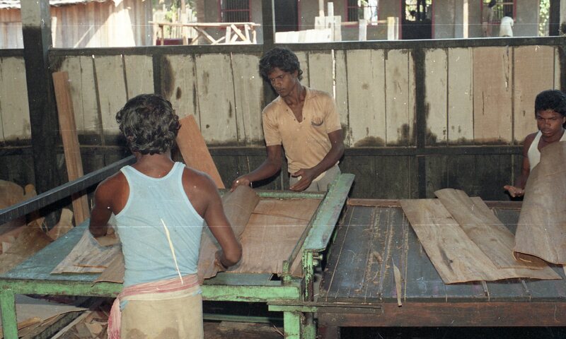 Plywood industry