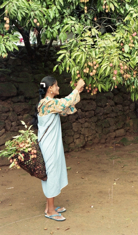 Umsyiem Village, Meghalaya