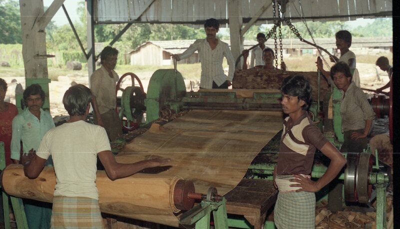 Plywood industry