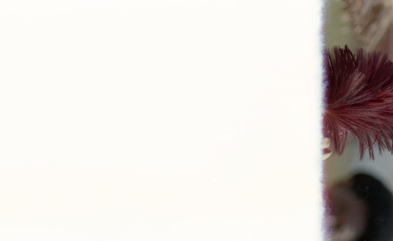 Blank