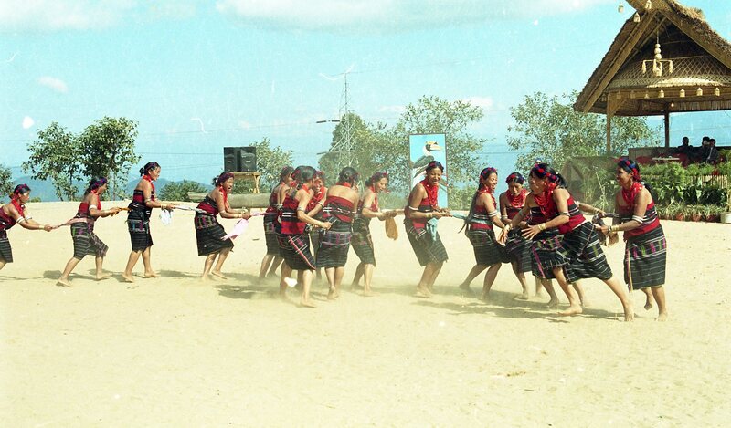 Hornbill festival, 2003