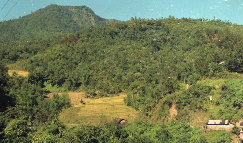 Nagaland