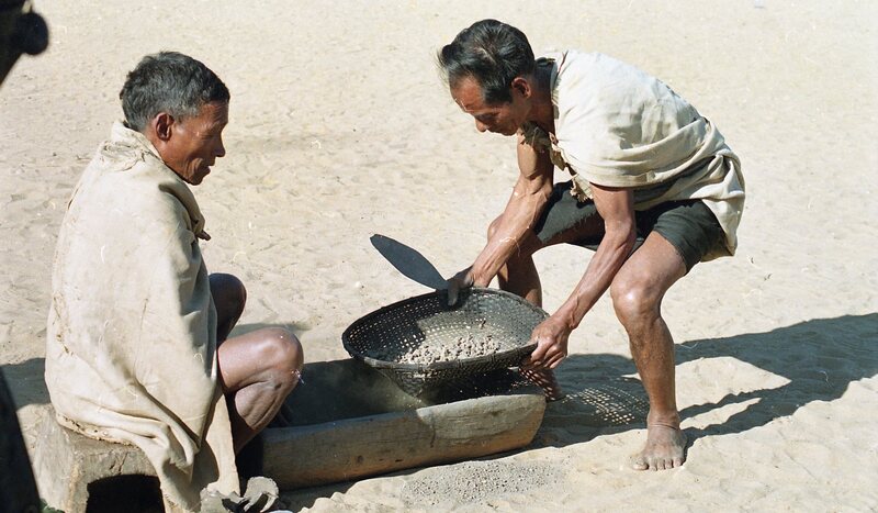Hornbill festival, 2003