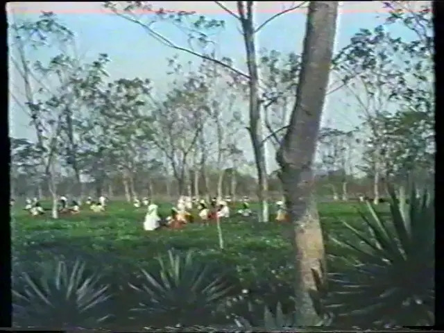 Inauguration of Meghalaya