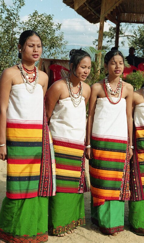 Hornbill festival, 2003