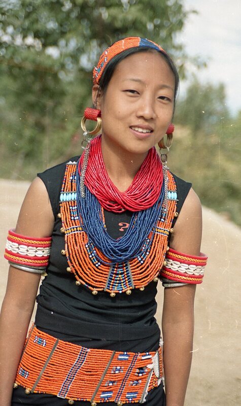 Hornbill festival, 2003