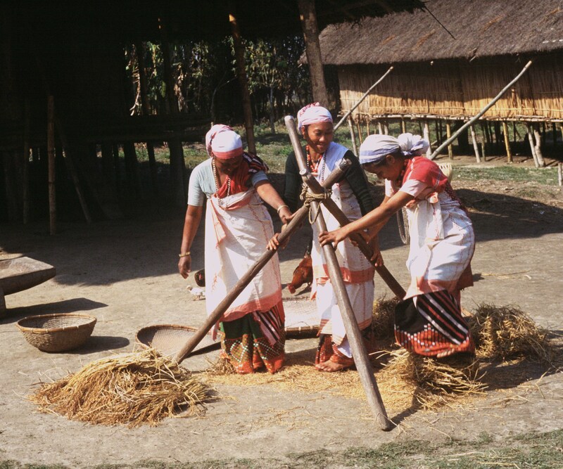 Tribal Women working