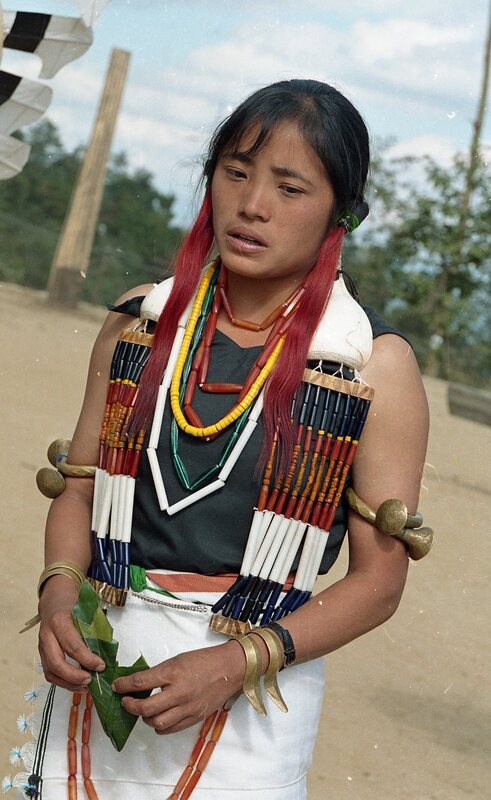 Hornbill festival, 2003