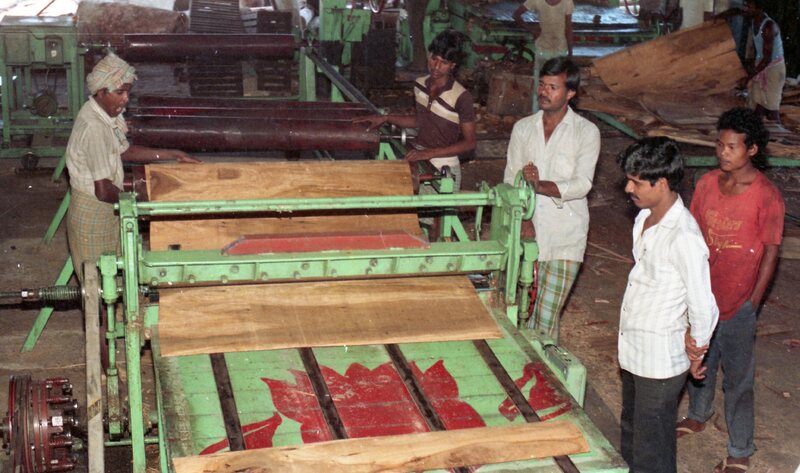 Plywood industry