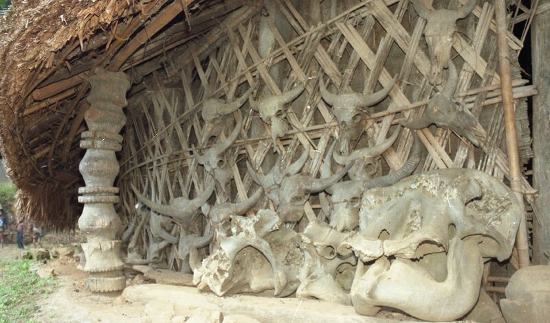 Konyak Hut, Nagaland