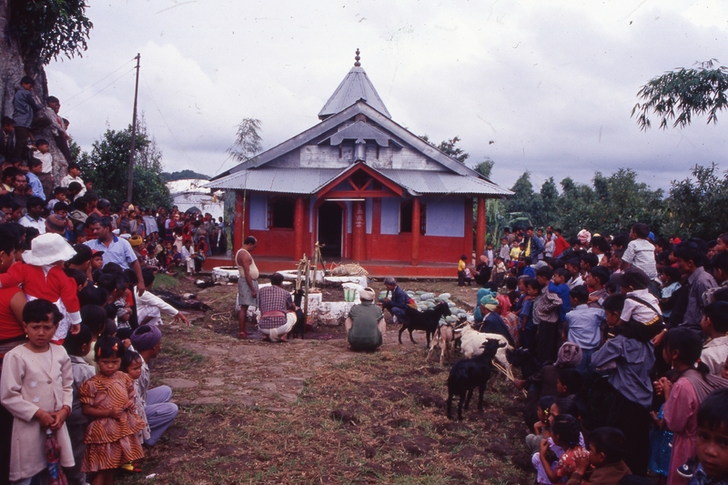 Durga Puja at Nartiang