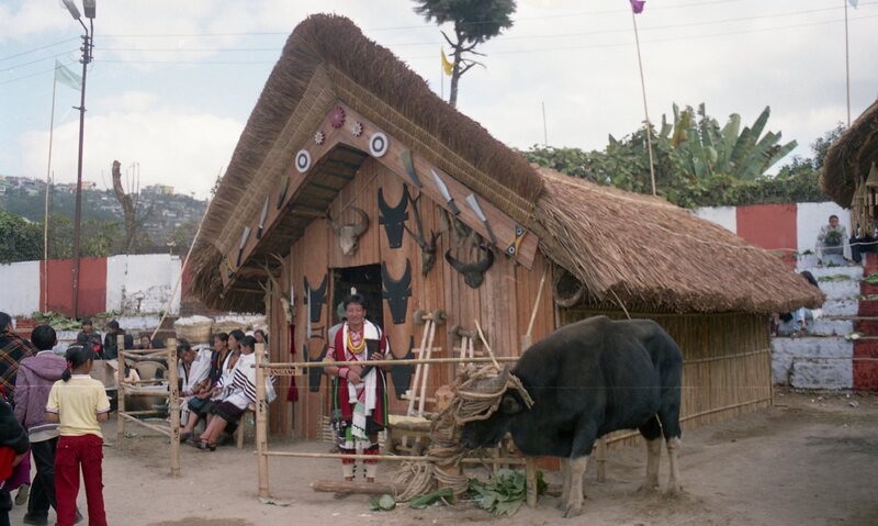 Hornbill festival, Nagaland