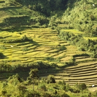 http://192.168.29.90/photos/Open/Ahmed%20Hossain%20Collections/D019/P003/W002/D019P003W002S005.jpg