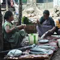 http://192.168.29.90/photos/Open/Ahmed%20Hossain%20Collections/D019/P002/W001/D019P002W001S003.jpg