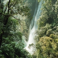 http://192.168.29.90/photos/Open/Ahmed%20Hossain%20Collections/D003/P001/W003/D003P001W003S024.jpg