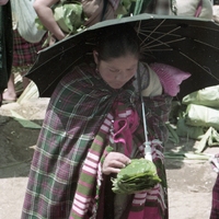 http://192.168.29.90/photos/Open/Ahmed%20Hossain%20Collections/D010/P001/W001/D010P001W001S020.jpg