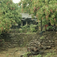 http://192.168.29.90/photos/Open/Ahmed%20Hossain%20Collections/D019/P001/W001/D019P001W001S014.jpg