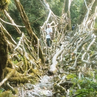 http://192.168.29.90/photos/Open/Ahmed%20Hossain%20Collections/D003/P001/W003/D003P001W003S009.jpg