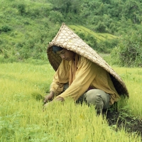 http://192.168.29.90/photos/Open/Ahmed%20Hossain%20Collections/D019/P001/W002/D019P001W002S044.jpg
