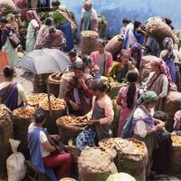 http://192.168.29.90/photos/Open/Ahmed%20Hossain%20Collections/D011/P001/W001/Compressed/D011P001W001S003.jpg