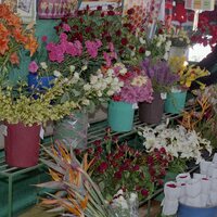 http://192.168.29.90/photos/Open/Ahmed%20Hossain%20Collections/D014/P011/W001/D014P011W001S004.jpg