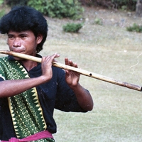 http://192.168.29.90/photos/Open/Ahmed%20Hossain%20Collections/D019/P002/W003/D019P002W003S015.jpg