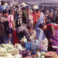 http://192.168.29.90/photos/Open/Ahmed%20Hossain%20Collections/D018/P002/W002/D018P002W001S012.jpg
