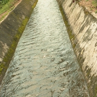 http://192.168.29.90/photos/Open/Ahmed%20Hossain%20Collections/D019/P001/W002/D019P001W002S040.jpg